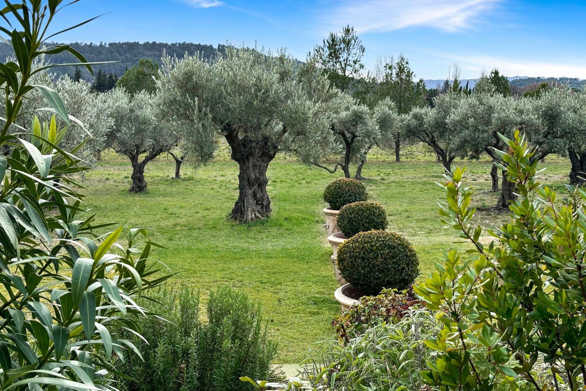 Appartement I Bastide La Graviere I Electio Lourmarin Esterno foto